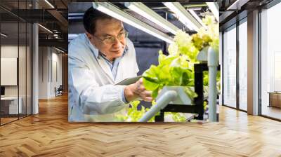 An Asian man researcher examines hydroponic lettuce under grow lights in a vertical farming setup, showcasing advanced agricultural techniques. Hydroponics vertical farm for food security concept. Wall mural