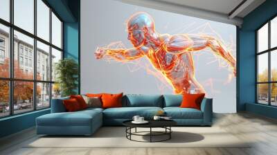 An illustration of a male runner, showing muscles, bones and nervous system. Wall mural