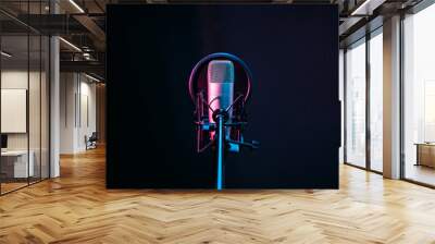 Studio microphone and pop shield on mic in the empty recording studio with copy space. Performance and show in the music business equipment. Wall mural