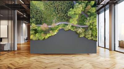 aerial view over sunny lake surrounded by tree forest near town. Wall mural