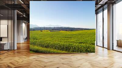 Autumn landscape with green farm agricultural fields and blue sky, Austria. Wall mural