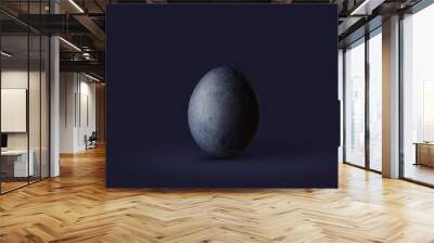 Dark blue easter egg isolated on dark background Wall mural