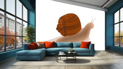 creeping snail on white background Wall mural