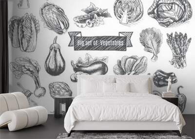 Vector illustration sketch - big set of vegetables. Wall mural