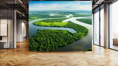 Aerial drone landscape view of a river delta with lush green vegetation and winding waterways Wall mural