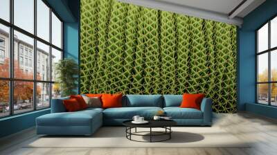 Cactus texture background banner or header Wall mural