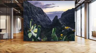 Nature and vulcanic landscapes in Tenerife, Spain Wall mural