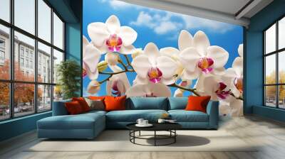 spring and summer season with tropical flowers concept from white orchid bloom with beauty bright sky background  Wall mural