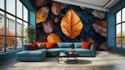 A close-up of a single orange leaf on a dark surface with other fallen leaves. Wall mural