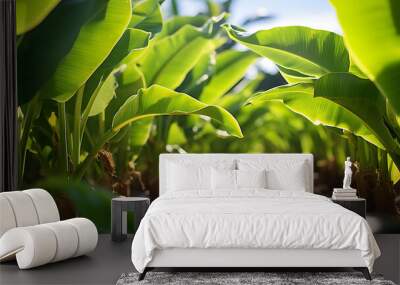 Quiet Lane of a Charming Asian Farm among Thriving Banana Trees Wall mural