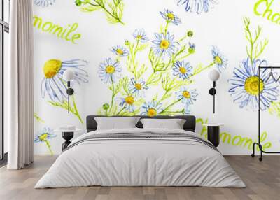 Chamomile plant with flowers and buds, isolated on white background hand painted watercolor illustration with inscription, hand painted watercolor illustration with inscription, seamless pattern desig Wall mural