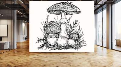 Fly agaric or amanita mushrooms group growing in grass, doodle black ink drawing, woodcut style Wall mural