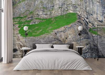 fresh green grass field on mountain cliff Wall mural