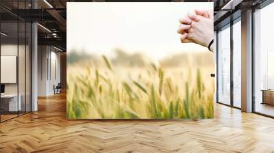 Praying christian and cross and thanksgiving and thanksgiving barley and barley field background concept
 Wall mural