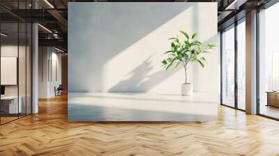 A single plant in a white pot sits on a white surface against a white wall. The sunlight streams through a window, casting shadows on the wall and floor. Wall mural