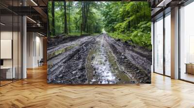 The road conditions were bad in the middle of a muddy and rocky forest. AI generated Wall mural