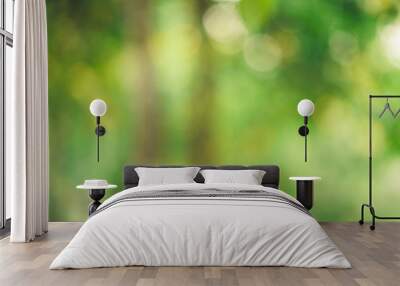 Abstract green bokeh background tree morning light Wall mural