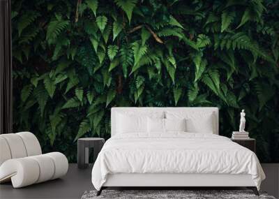 Dark green leaves nature background Wall mural