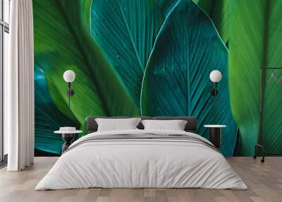 Dark Leaves background water drop Leaf surface  Wall mural