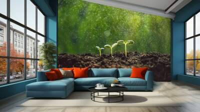 Growth Trees concept seedlings nature background Beautiful green Wall mural