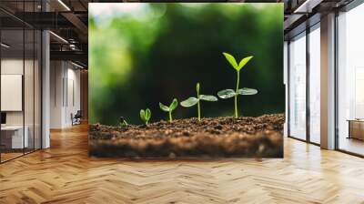 Plant Seeds Planting trees growth,The seeds are germinating on good quality soils in nature Wall mural