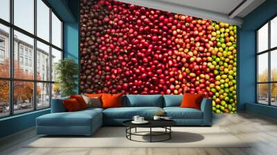 red coffee ripeness dry process coffee Wall mural