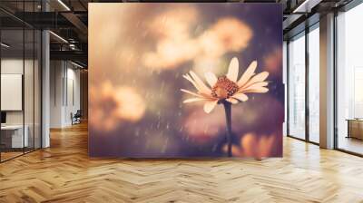 yellow summer flower under sunset light Wall mural