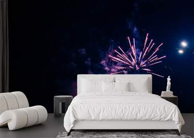 Bright, pink fireworks against the background of the night sky. Wall mural