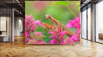  a close - up of a green insect on a leaf with drops of water on it's back legs.. Beautiful simple AI generated image Wall mural