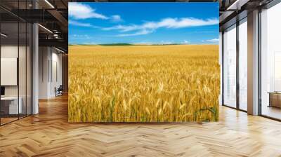 beautiful symmetrical patterns and a golden glow in a field of post-harvest sprayed wheat stubble, Wiltshire UK. Beautiful simple AI generated image in 4K, unique. Wall mural