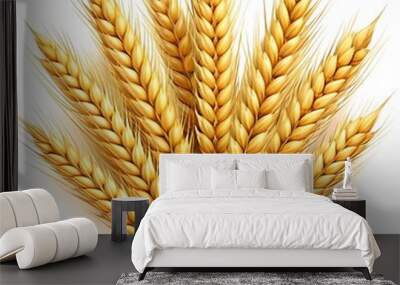 Fan of Pure Wheat Ears. Golden Wheat Ears Fan Image. Pure Wheat Ears Close-Up. Wheat Ears on White Background. Natural Wheat Ears Fan. Wall mural