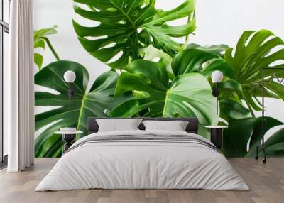 A dense cluster of green healthy tropical leaves against a white backdrop  AI generated illustration Wall mural