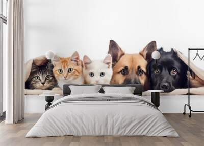 Dogs and cats peeking over web banner isolated white background. Al generated Wall mural