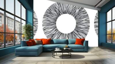 Abstract eye illustration. Iris decorative image. Circle vector line sketch. Wall mural