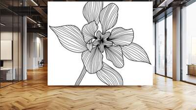 Flower isolated on white, hand drawn sketch, png flower illustration.
 Wall mural