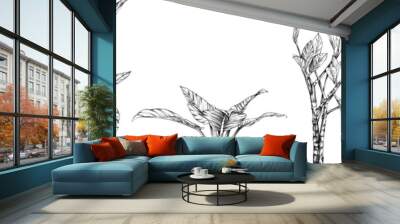 Illustration of a tropical plant set. Hand drawn botanical illustration isolate on white collection. Wall mural