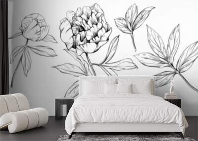 Peony floral botanical flower hand drawn set. Wild spring leaf wildflower isolated collection. Black and white engraved ink art collection. Isolated peony illustration element on white background. Wall mural