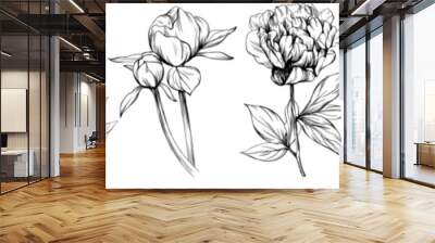 Peony floral botanical flower hand drawn. Wild spring leaf wildflower isolated. Black and white engraved ink art collection. Isolated peony illustration element on white background. Wall mural