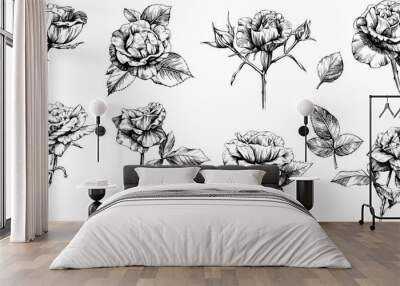 Rose floral botanical flowers. Wild spring leaf wildflower isolated. Black and white engraved ink art. Isolated rose illustration element on white background. Wall mural