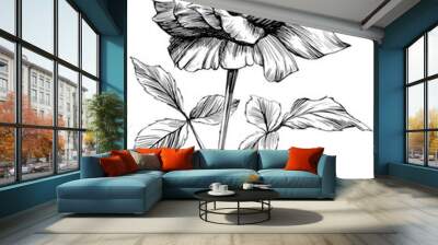 Rose flower isolated on white. hand drawn vintage . Wall mural