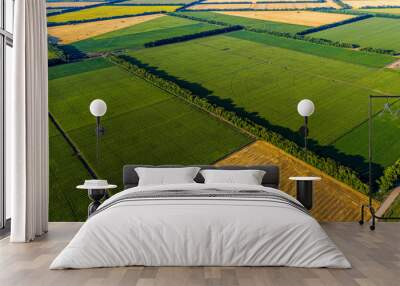 Aerial Flying Over corn, sunflowers, soybean and fields with straw bales Wall mural