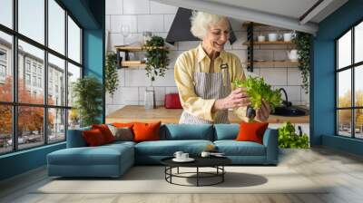 Attractive senior woman with grey hair cooking healthy food on her kitchen at home. Mature female preparing fresh vegetarian salad with organic ingredients from the market: tomato, cucumber, pepper Wall mural