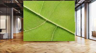 Leaf texture background Wall mural