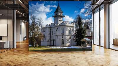 Palace in Radziejowice village, Poland Wall mural