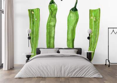 Chile. Green pepper pods in watercolor. Illustration on white ba Wall mural