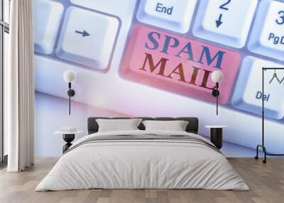 Conceptual hand writing showing Spam Mail. Concept meaning Intrusive advertising Inappropriate messages sent on the Internet Wall mural