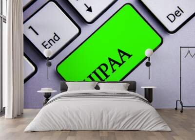 Handwriting text writing Hipaa. Concept meaning Health Insurance Portability and Accountability Act Healthcare Law Keyboard green key Intention create text computer paper essay inspiration. Wall mural