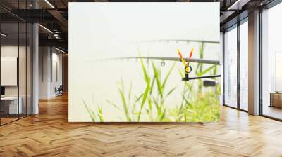 Fishing rods catch fish. Fishing with two rods. Wall mural