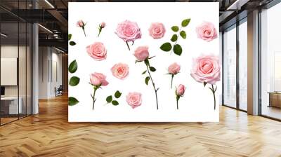 A collection, set of bunch of pink roses with green leaves , transparent PNG Wall mural