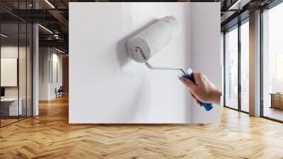 Male hand painting wall with paint roller. Painting apartment, renovating with white color paint Wall mural